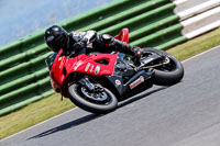 Advanced Group Red Bikes